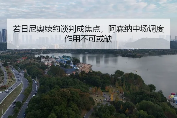 ruo-ri-ni-ao-xu-yue-tan-pan-cheng-jiao-dian-a-sen-na-zhong-chang-diao-du-zuo-yong-bu-ke-huo-que-3-225.jpg
