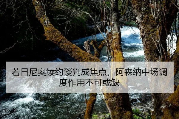 若日尼奥续约谈判成焦点，阿森纳中场调度作用不可或缺