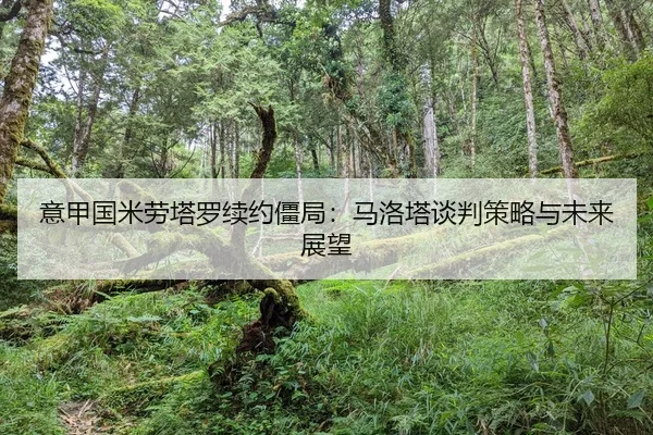 yi-jia-guo-mi-lao-ta-luo-xu-yue-jiang-ju-ma-luo-ta-tan-pan-ce-lve-yu-wei-lai-zhan-wang-2-741.jpg