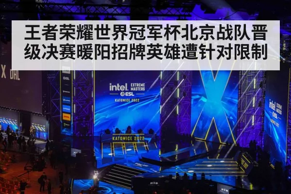 王者荣耀世界冠军杯北京战队晋级决赛暖阳招牌英雄遭针对限制